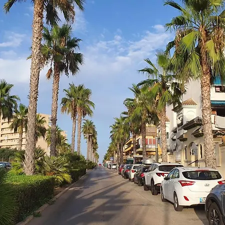 Pod Palmami /bajo Palmeras