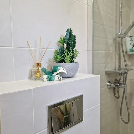 Pod Palmami /bajo Palmeras Alicante