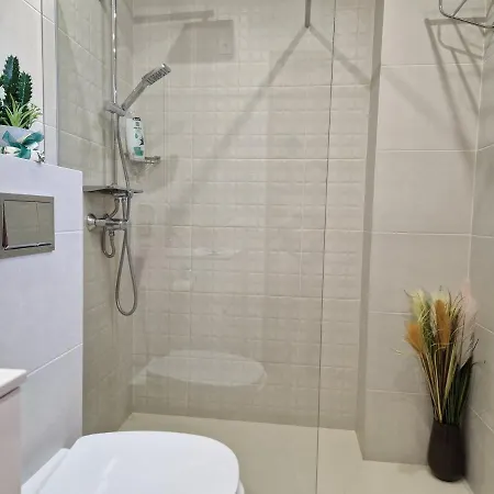 Pod Palmami /bajo Palmeras Apartment