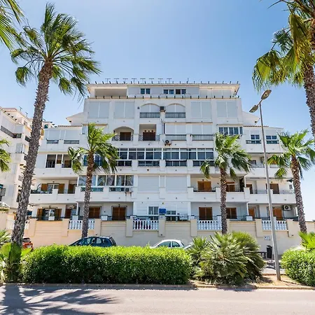 Pod Palmami /bajo Palmeras * Alicante