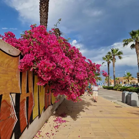 Pod Palmami /bajo Palmeras *